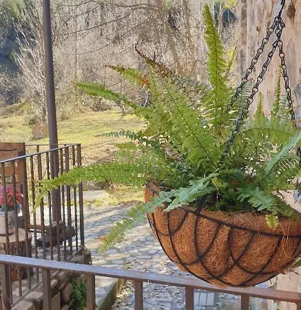 El Molino De 乡村民宿 *