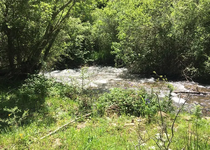 El Molino De * Bretun